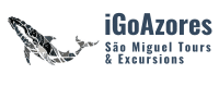alt="iGoAzores logo – licensed local tour operator in São Miguel, Azores"