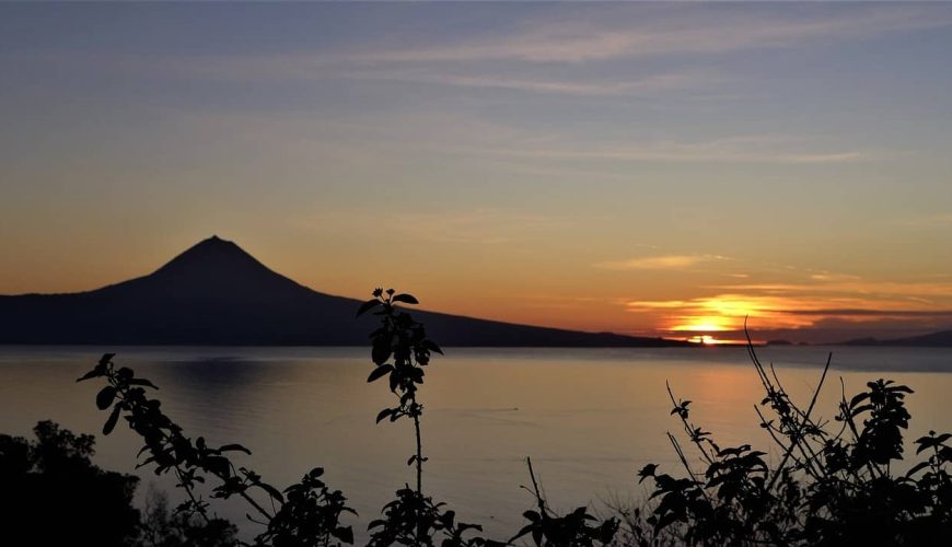 açores ilha do pico