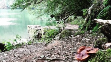 Lagoa do congro, uma joia escondida em são miguel