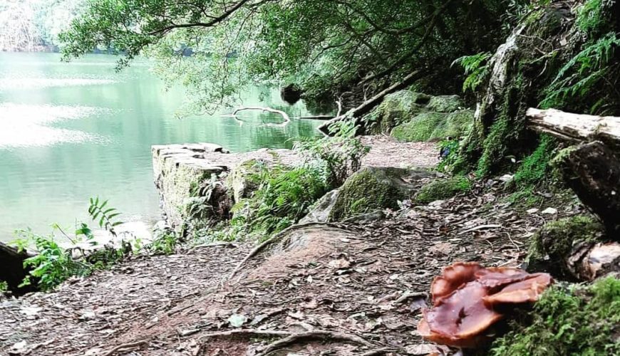 Lagoa do congro, uma joia escondida em são miguel