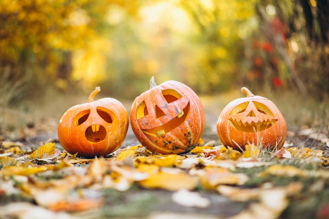 Halloween nos açores e o pão por Deus