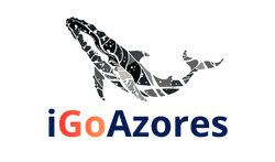 logo i go azores